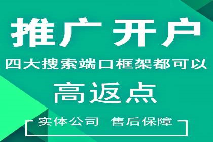 百度推广公司案例分享：如何通过百度推广实现持续增长